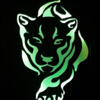Cadre lumineux panthère