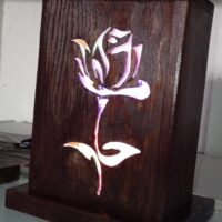 Cadre lumineux mini rose marron